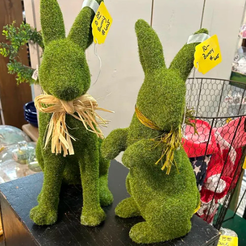 o30 ItFrdnd thre srkams oualt-psed one pldie biDVD reles. Lt's stek's ams... .