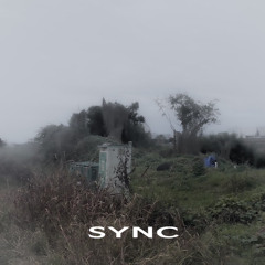 SYNC Mixtape: DIV☆
