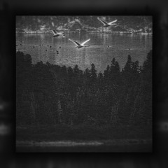 Eyes Over The Hemlocks I - IV