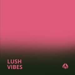 Lush R&B/Neo-Soul Vibes