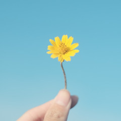 [#386] Make It Count