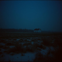 Cold Field