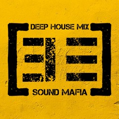 110 bpm DEEP HOUSE MIX