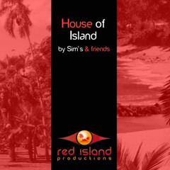 Sim's & Sam L Feat SAMIR Percu Live - Doors of spirit (DJ RAXX Long Play)