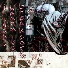 i_dont_wanna_be_breakcore