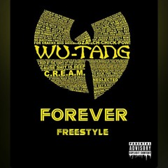 Wu-Tang Forever (Freestyle)