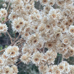 Lost in Summer Feelings