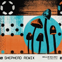 Billie Eilish - No Time To Die (Shepherd Remix)