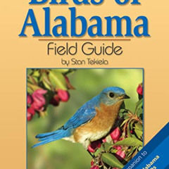 GET EPUB 📫 Birds of Alabama Field Guide (Bird Identification Guides) by  Stan Tekiel