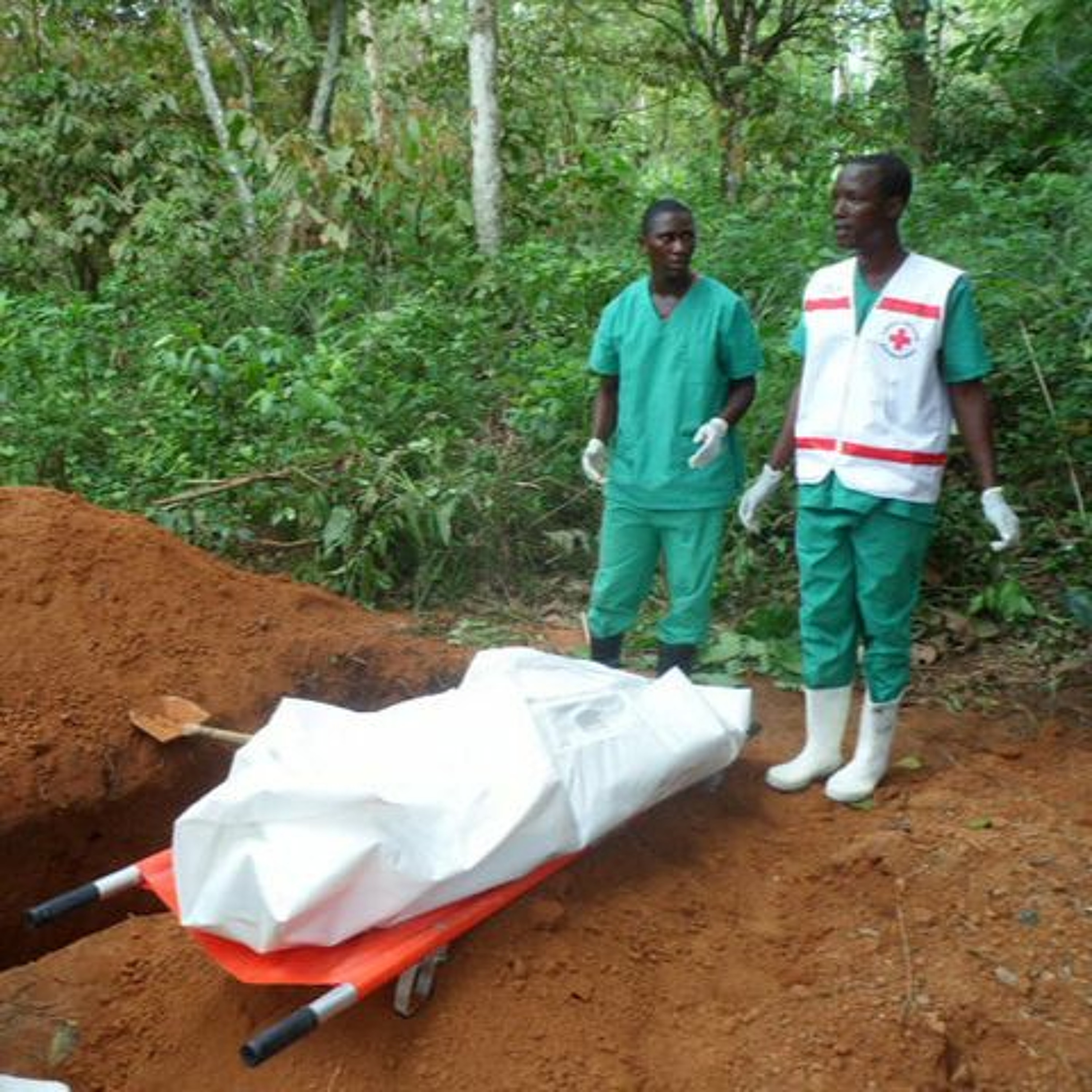 SSD - La science en direct