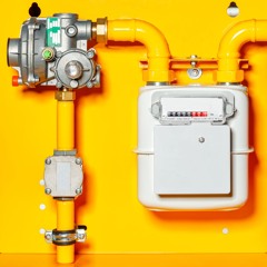 #22 Gevoeligheid van Nederlandse industrie voor gasprijsschommelingen