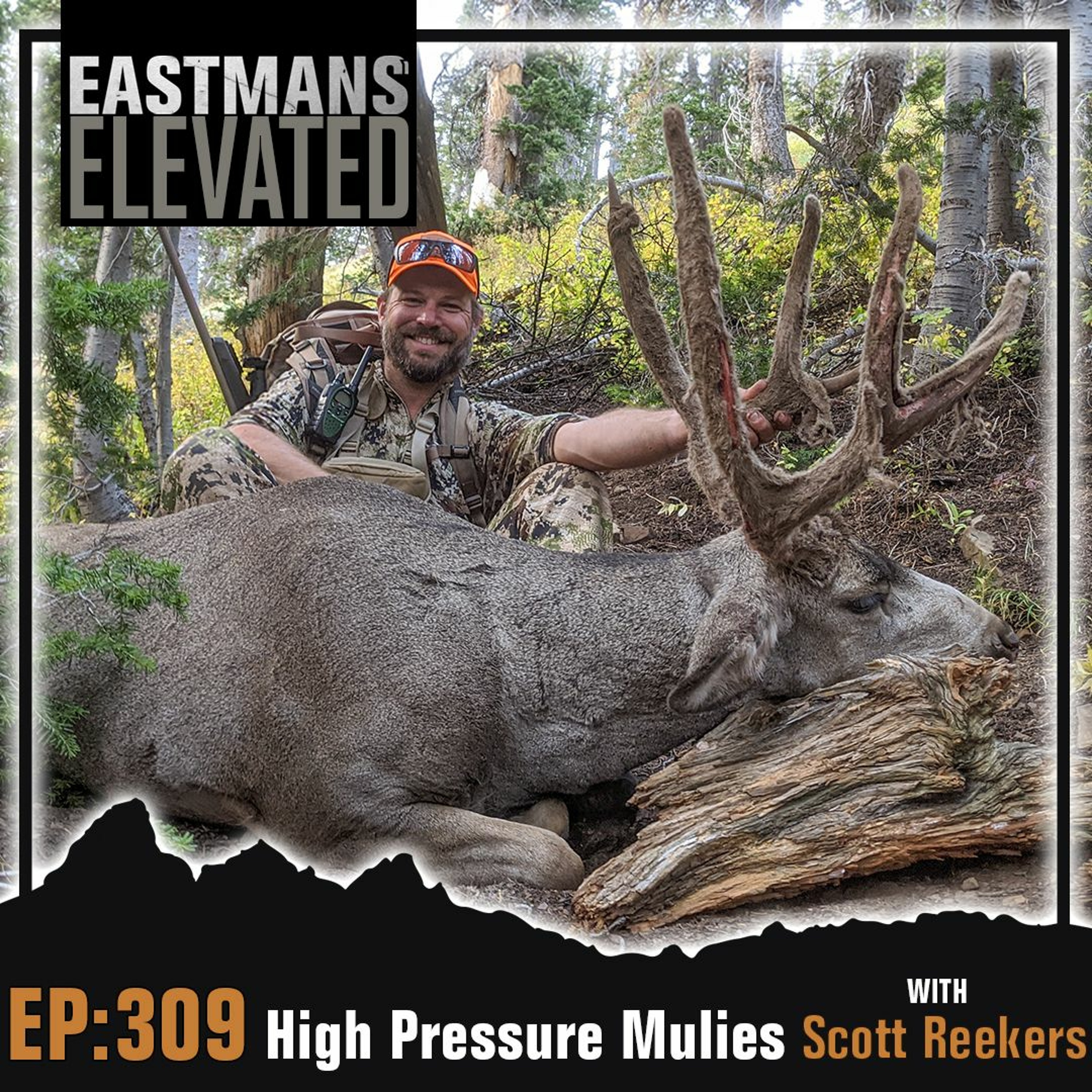 Episode 309: High Pressure Mulies with Scott Reekers