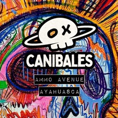 Ammo Avenue - Ayahuasca - CNBLS014