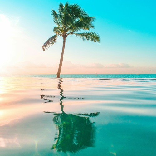 Tropical Winter