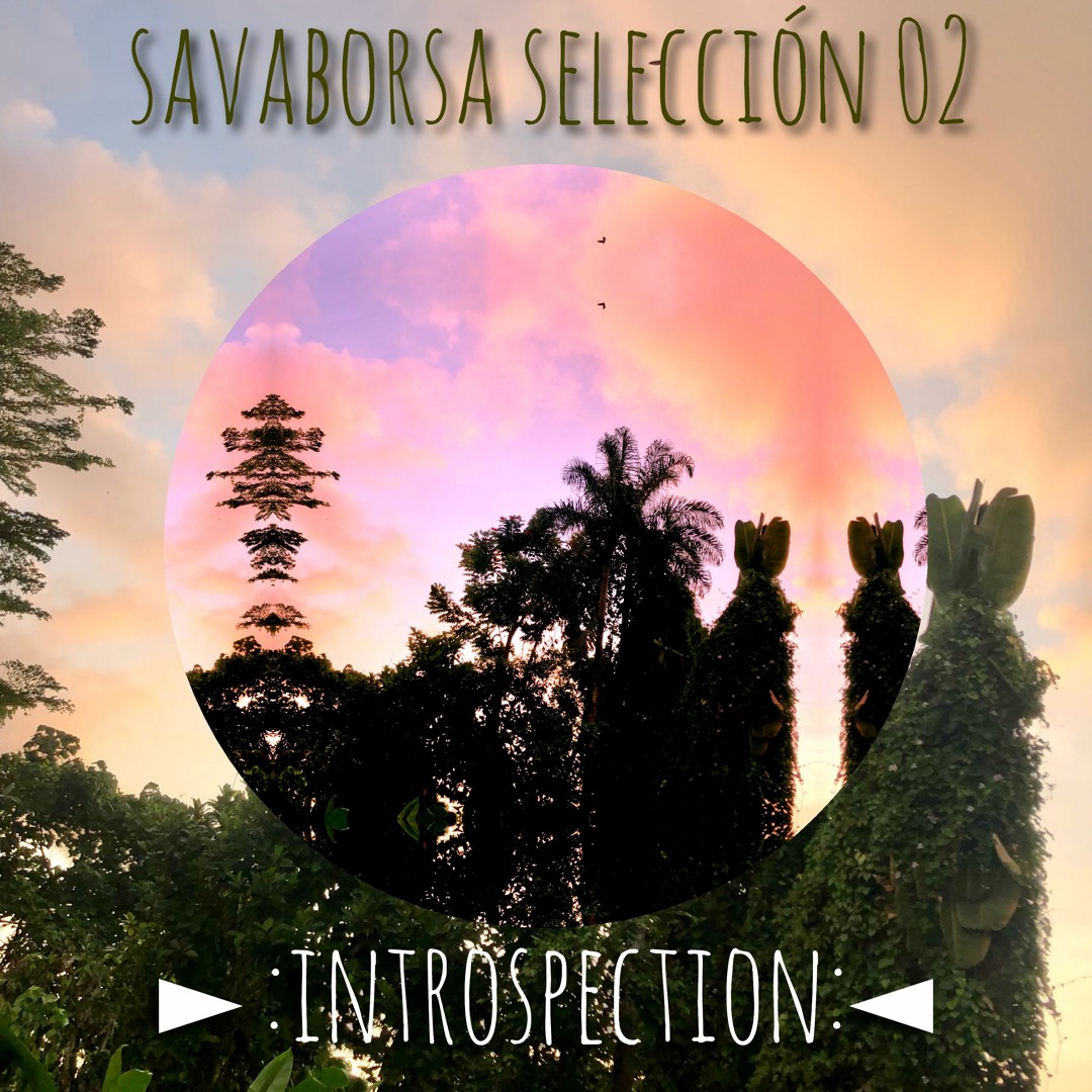 Various / Introspection 02 Various / Introspection 02
