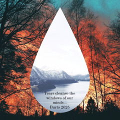 Burts - Tears cleanse the windows of our minds - 2025