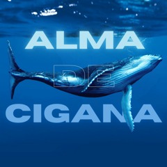 3030 - Alma De Cigana (Duhzeer Remix)