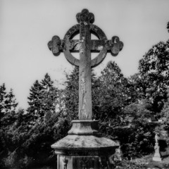 CHECK MY PULSE (Prod. CannonTooCold)