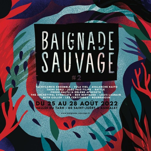Festival Baignade Sauvage #2