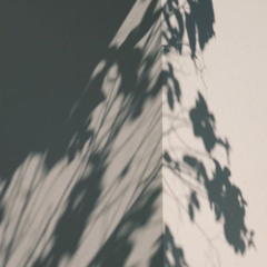 ｈｉｄｑｍｑｒｉ