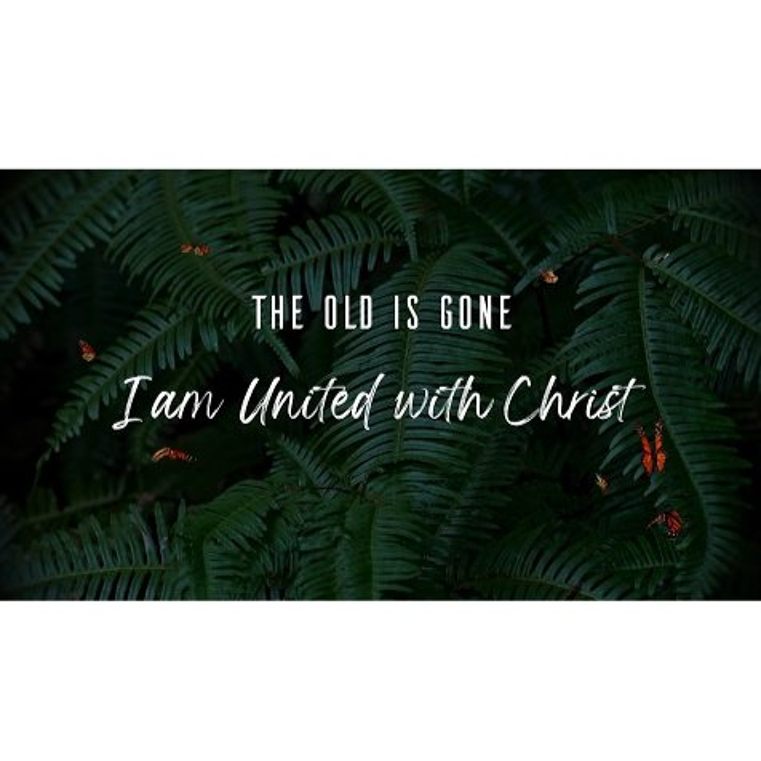 The Old Has Gone | Transformed (Sermon) episode artwork