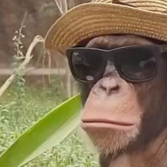 DJ DWYER - Yeah! (2018)