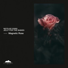 Nicolas Viana, Jelly For The Babies - Magnetic Rose (Original Mix)