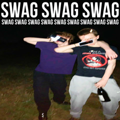 swagswagswag (feat. bay0net)
