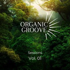 Organic Groove Sessions Vol. 01