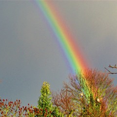 Covenant of the rainbow.