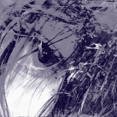 EPHEMERAL W/ $ENSELESS (OBLITERATION Collab Part)