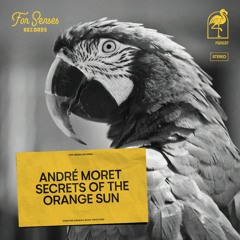 Premiere: André Moret - Secrets of the Orange Sun (Original Mix)