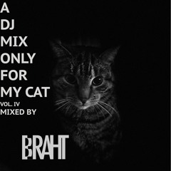 A DJ Mix Only For My Cat (VOL IV)