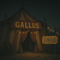 Gallus