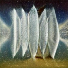 dancing metamorphs