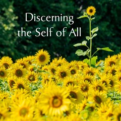 Discerning The Self Of All