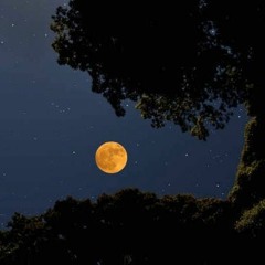 do you still think i am beautiful OUTRO DEMO