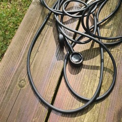 DIY Stereo Hydrophone in shallow creek [Snippets]