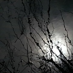 Bottom Of The Barrel (Alternate Mixing)