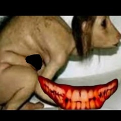 DUENDES CAPTADOS EN CAMARA 100% REAL