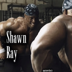 Shawn Ray x M.E (slowed)