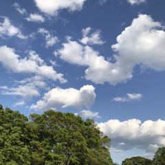 FOUNDATION feat husky green