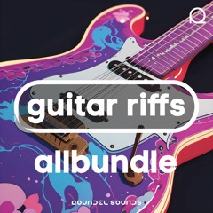 Guitar Riffs / allBUNDLE