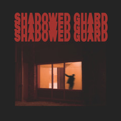 Shadowed Guard