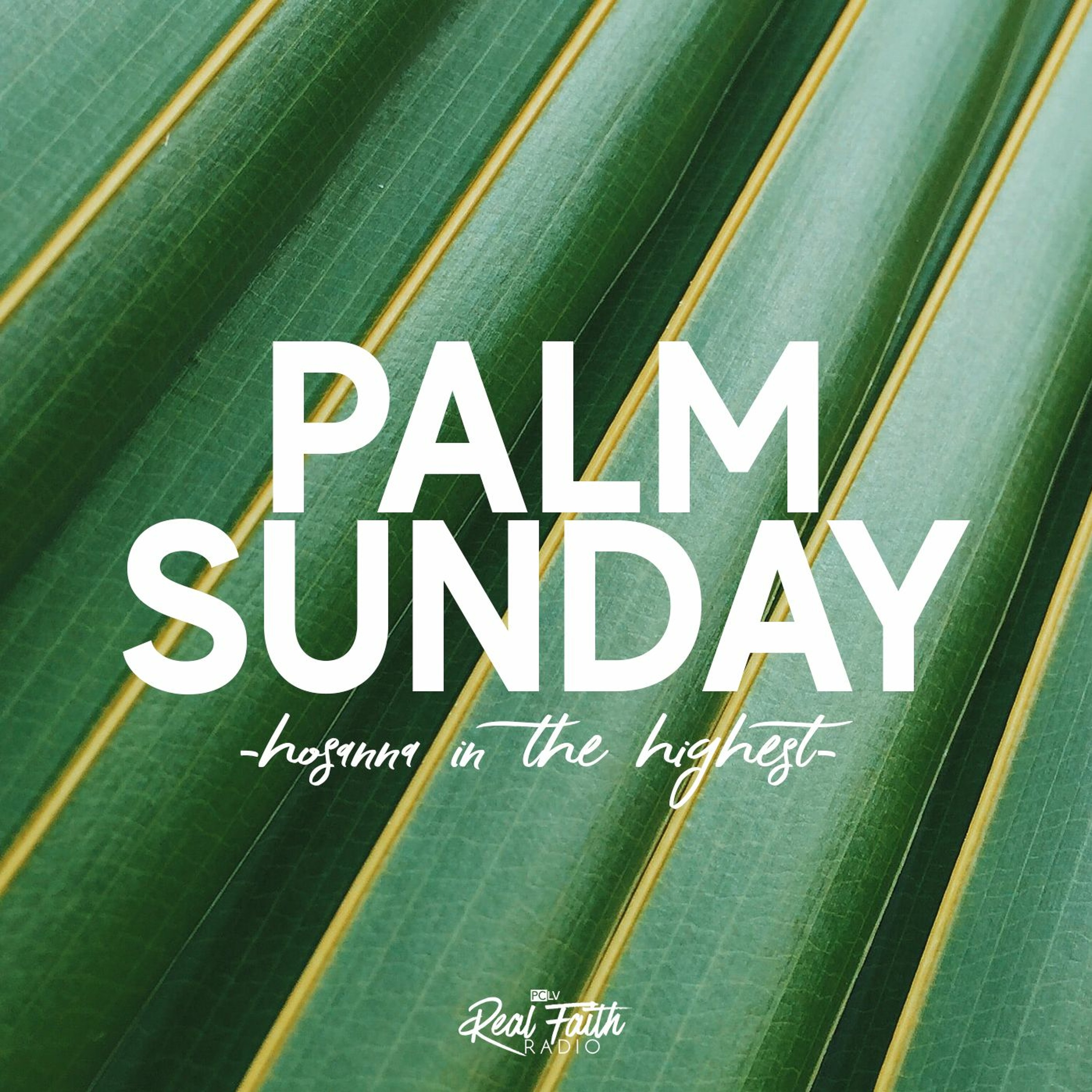 Palm Sunday 2022 | Pastor Art Corral (April 10, 2022) episode artwork