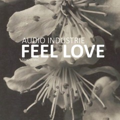 FEEL LOVE - AUDIO INDUSTRIE (Original Mix)