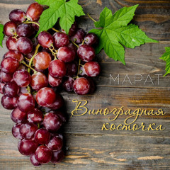 Виноградная косточка