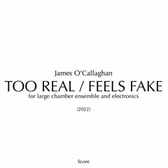 TOO REAL / FEELS FAKE - ECM+, Véronique Lacroix