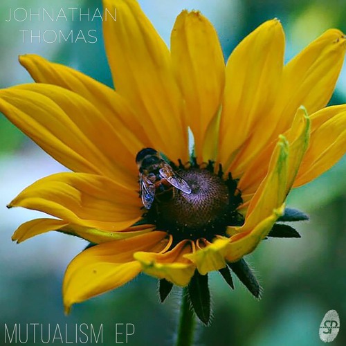 Johnathan Thomas & Hex - Realness