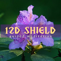 12D SHIELD Guided Meditation